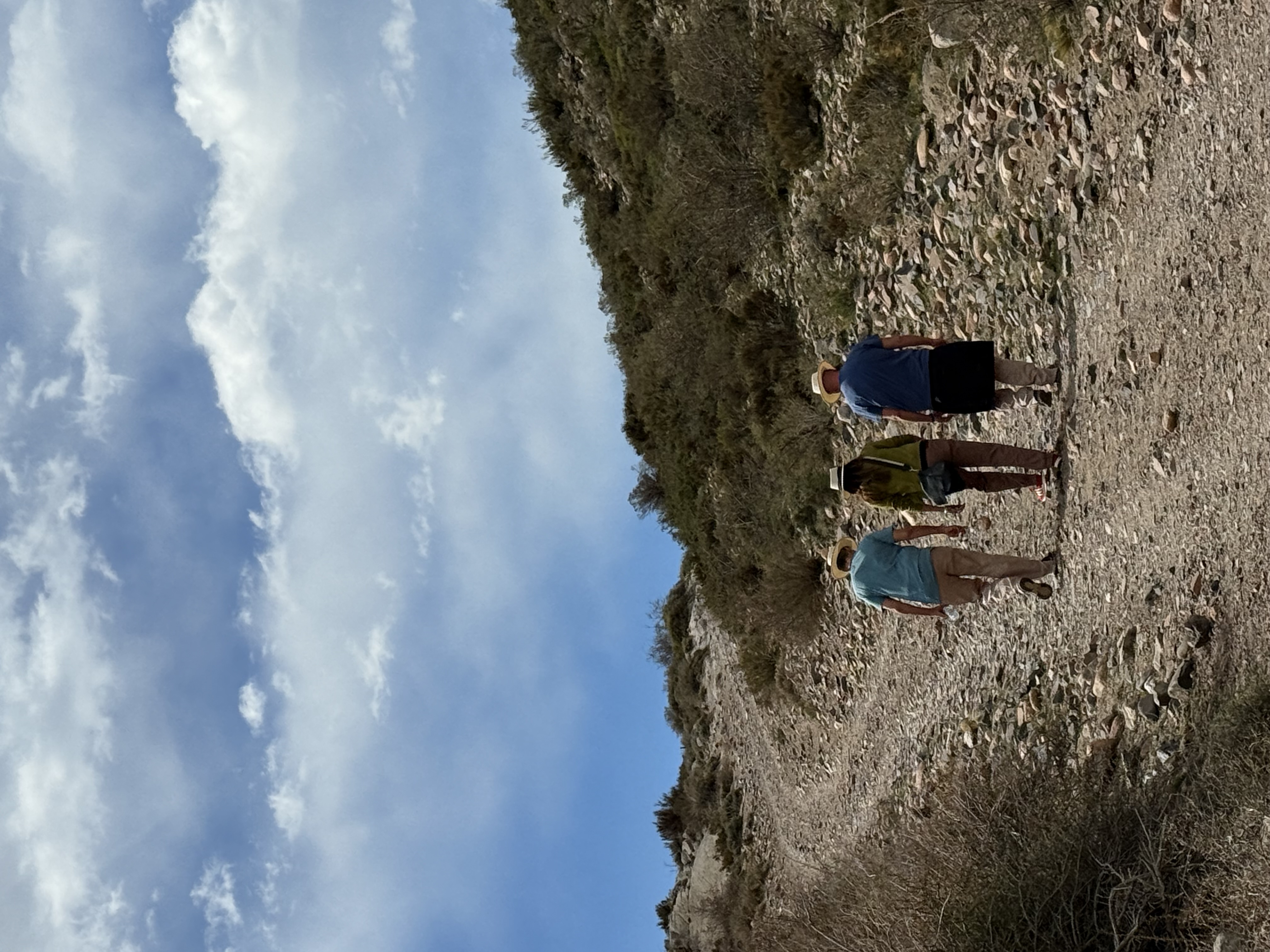 Caminata por sendero de montaña