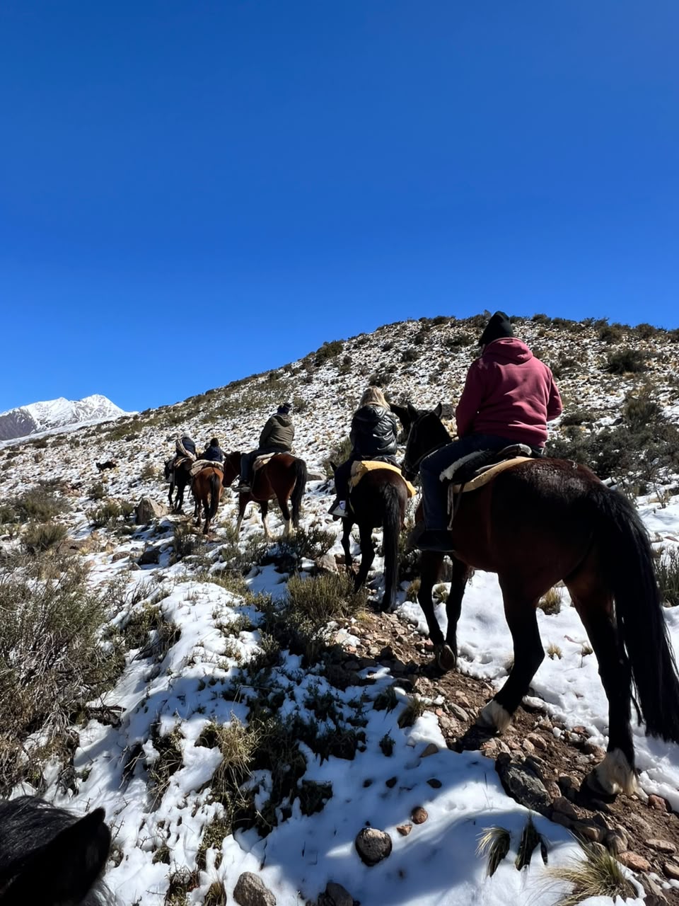 Cabalgata Río Extremo, fotografía 4